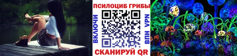 Псилоцибиновые грибы мицелий  Гаджиево 