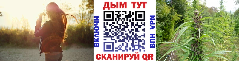 omg ССЫЛКА  Гаджиево  Марихуана Ganja 